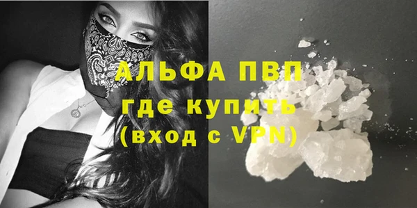 стафф Надым