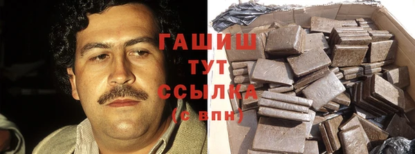стафф Надым